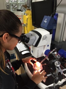 SIA 2015 NeuroLab intern