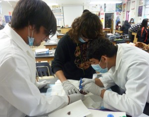 CPH SIA Biotech students