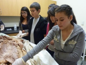 SIA fieldtrip to pathology lab