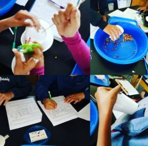science - working on project