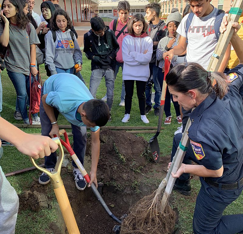 Sweetwater High School Celebrates Value of Trees with Tree Planting Event