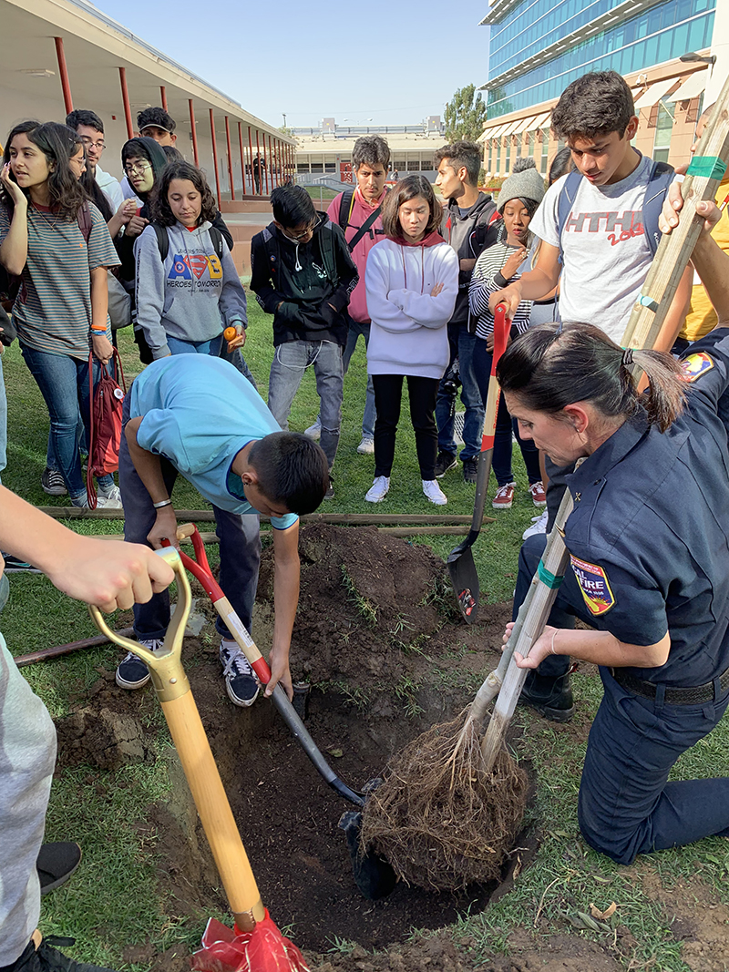 Sweetwater High School Celebrates Value of Trees with Tree Planting Event